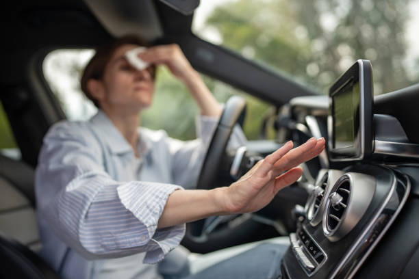 Best Air Conditioning Cleaning in Kenworth, IL